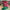 4” x 10yd red glitter with green backed d’lux ribbon - LX32734N