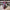 2.5”x 10yd Christmas dot stripe sided Wired Ribbon - LX30774N