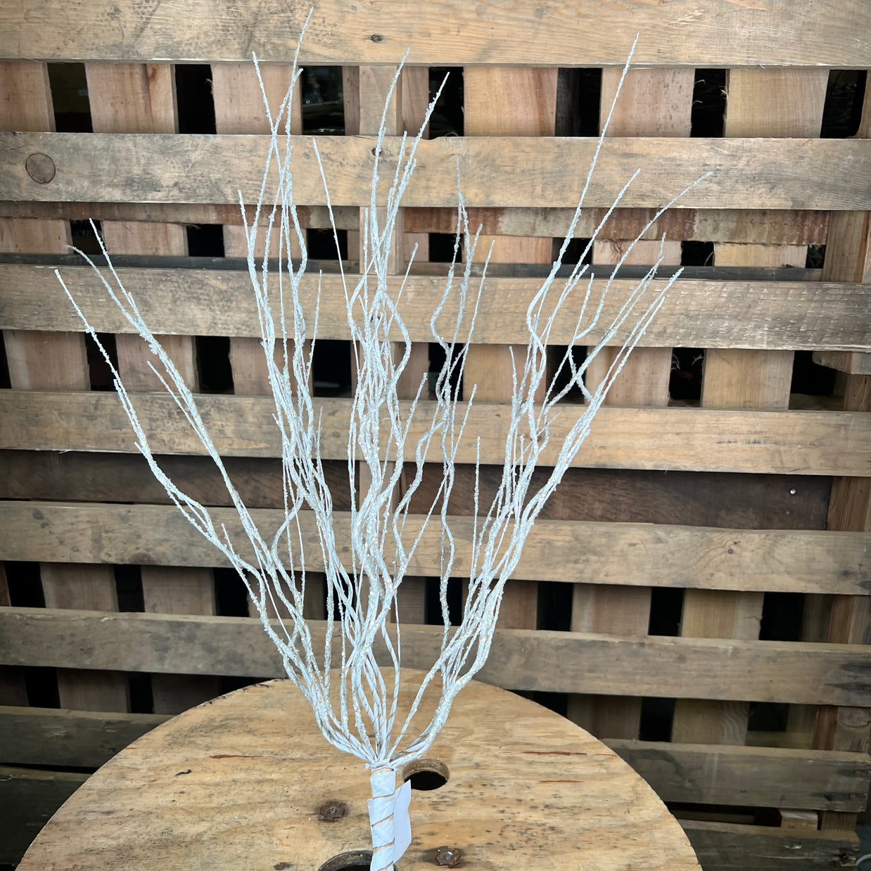 32"L GLITTERED BIRCH CURLY TWIG SPRAY - XS9841