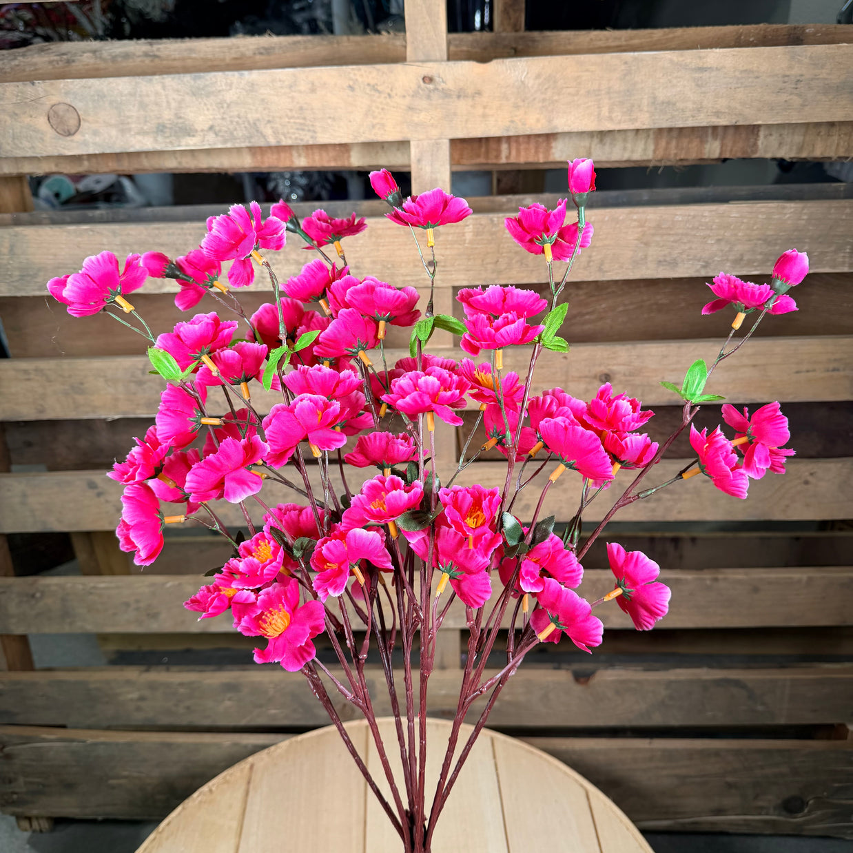 Pink peach blossum bush -  52494