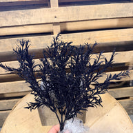 13”H Black rosemary bush -  XX970402