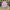 21”H Pink velvet peppermint spray - DCSP5174