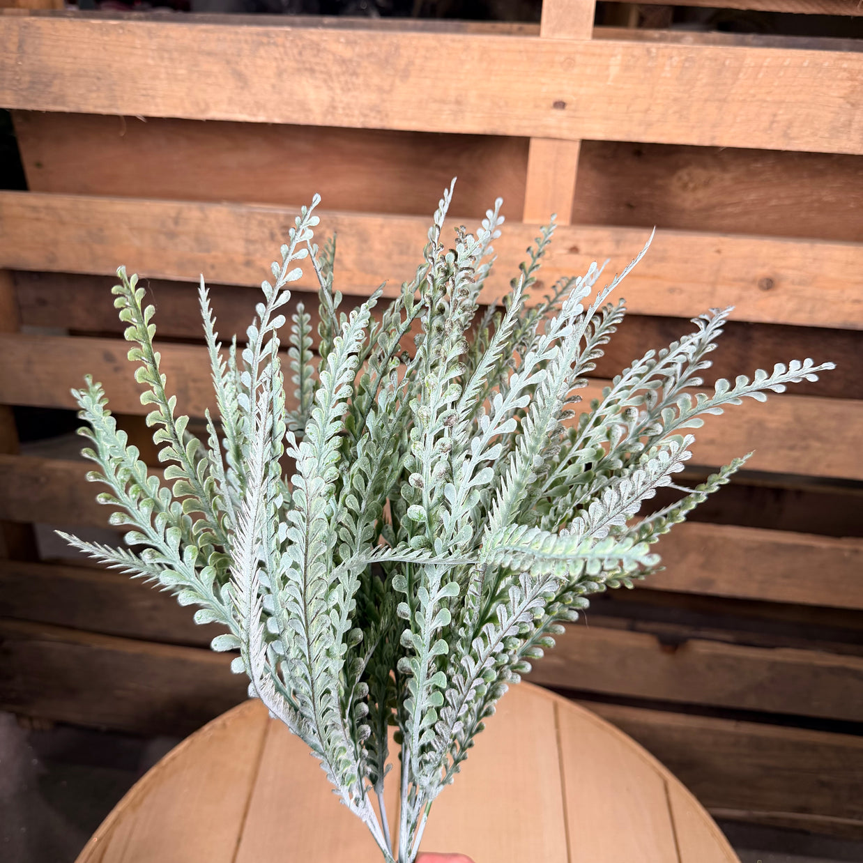 19"L BUTTON FERN BEAD GRASS BUSH - FG679536