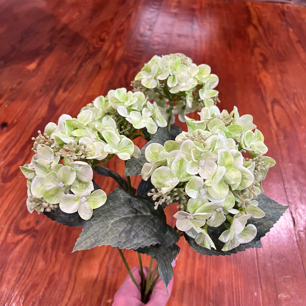 19 in green hydrangea bush - 84845 - GN