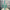 31"L GLITTERED/PAPER GRASS SPRAY - EMERALD GREEN - XS104906