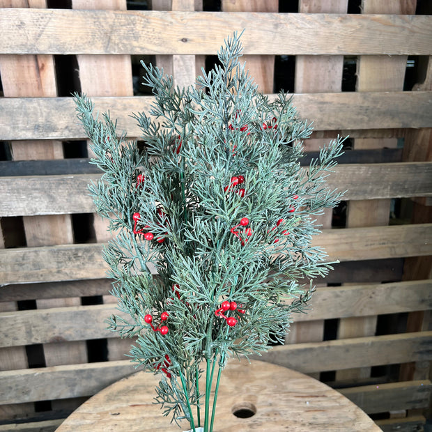 22" Cedar berry bush - 58201