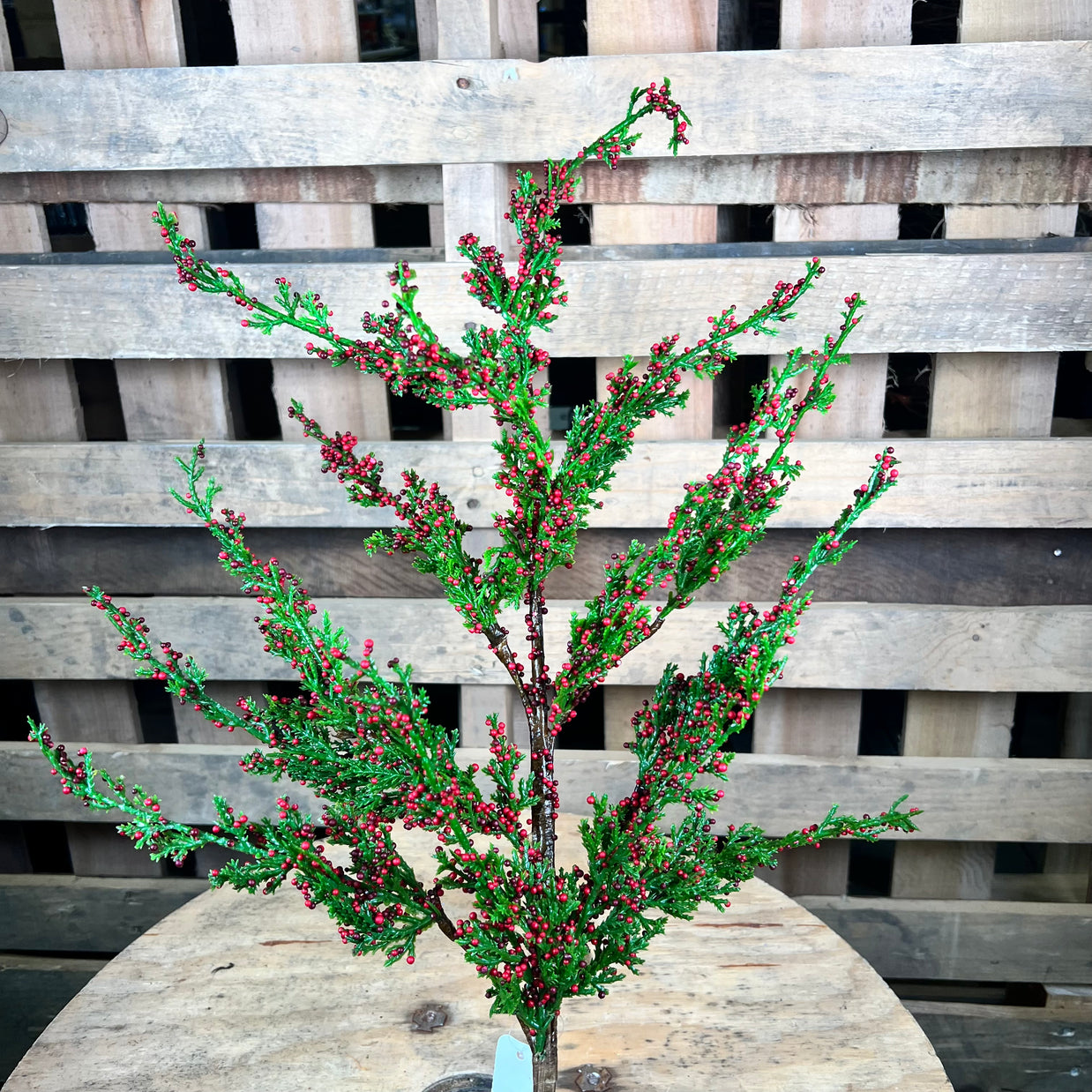 35"L MINI BERRY/ARBORVITAE SPRAY - XX8889