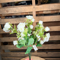White rose bud bush - 37361