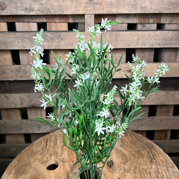 19" podocarpus greenery bush - FG656627