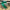 1.5"X10YD Emerald green glitter Wired Ribbon - RGF153206