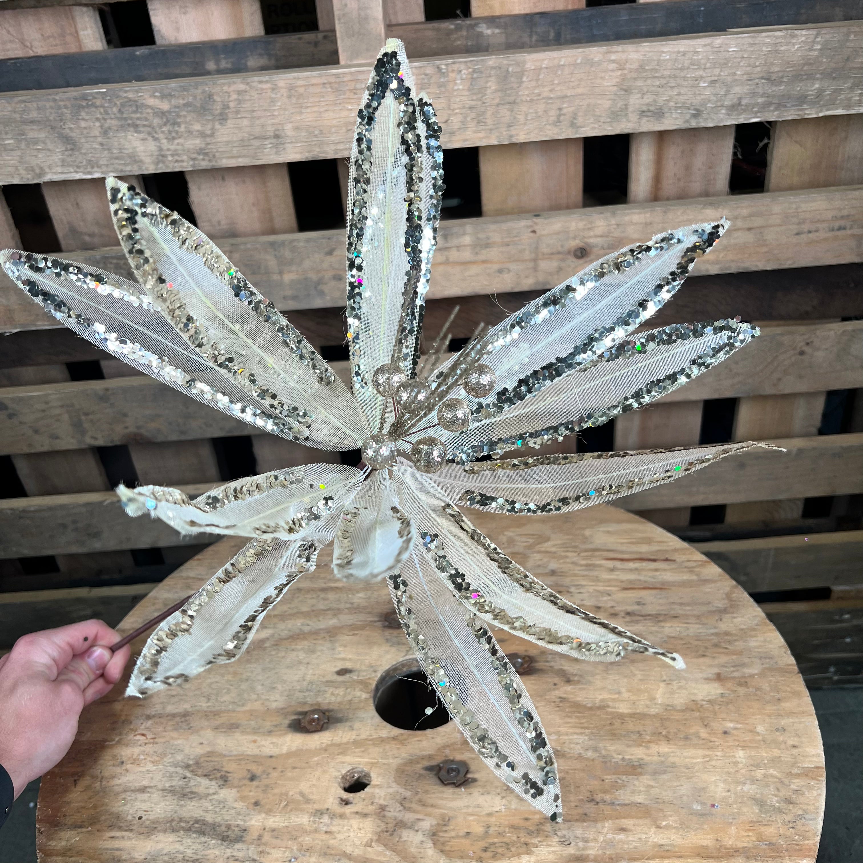 Champagne sheer wired poinsettia stem- DCSP5244
