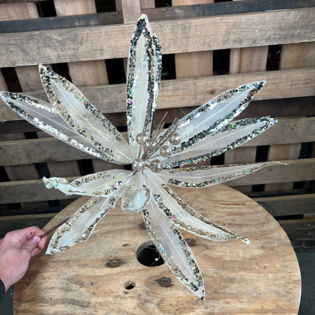 Champagne sheer wired poinsettia stem- DCSP5244
