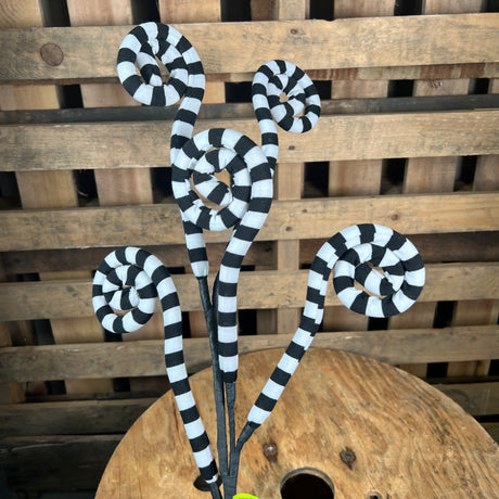 30in white and black stripe curly spray - 56533BKWT