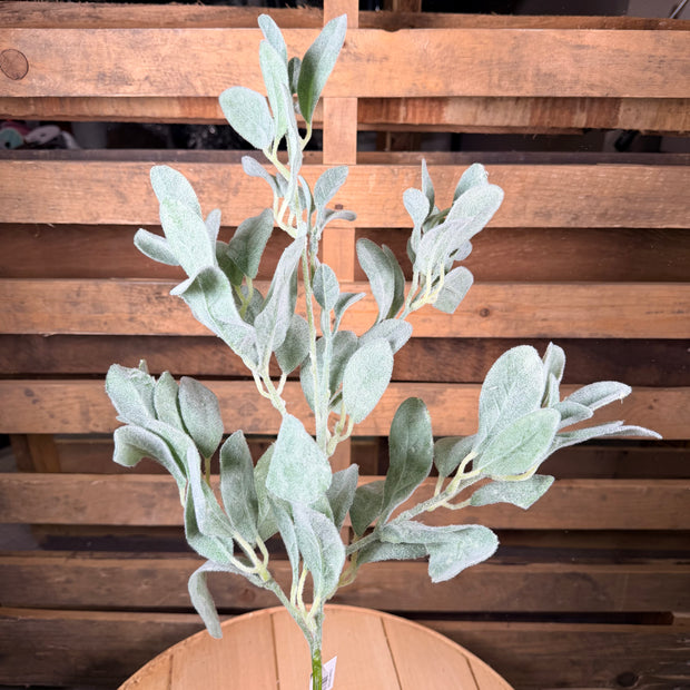 31"L LAMBS EAR SPRAY - FG667609