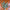 30 inch silver dollar greenery - 62818