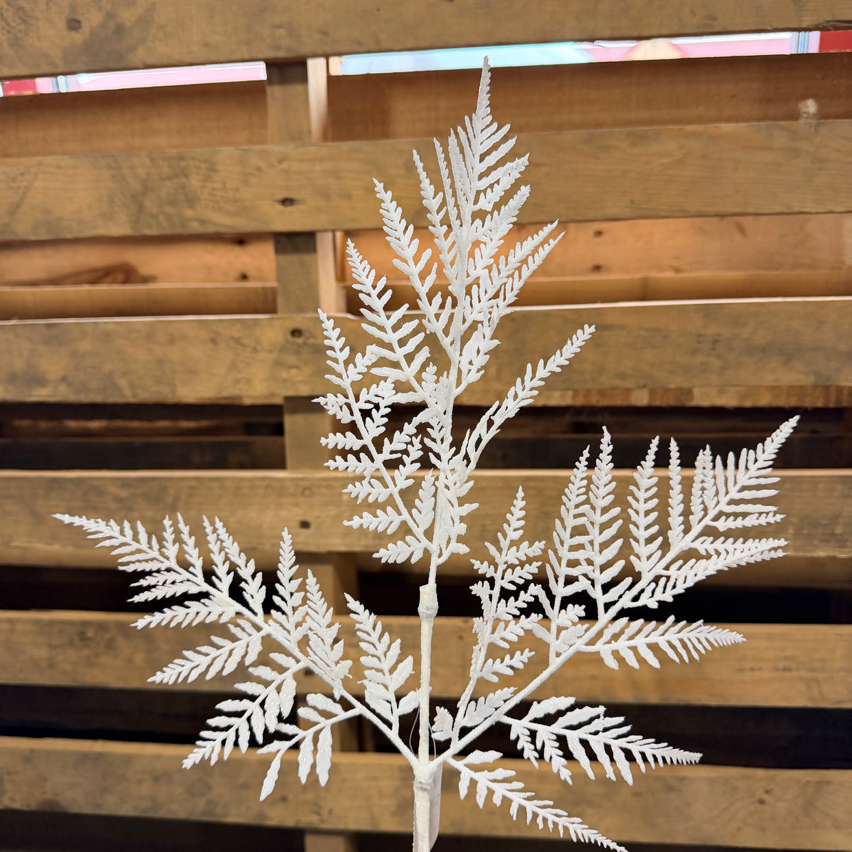 18.5" Inch White glitter fern  spray  - XS244127