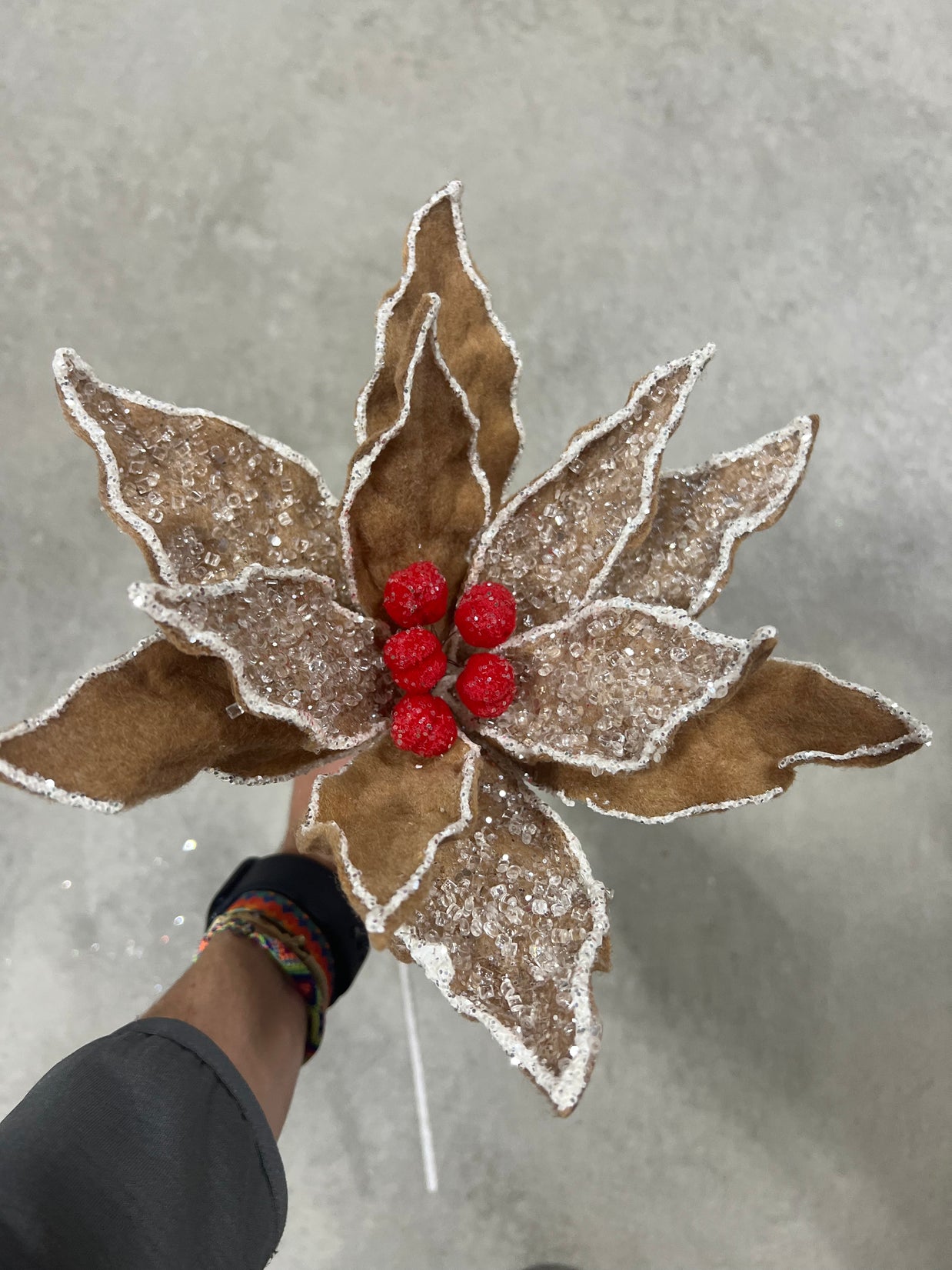 10.5 ” gingerbread poinsettia pick  - XS4210