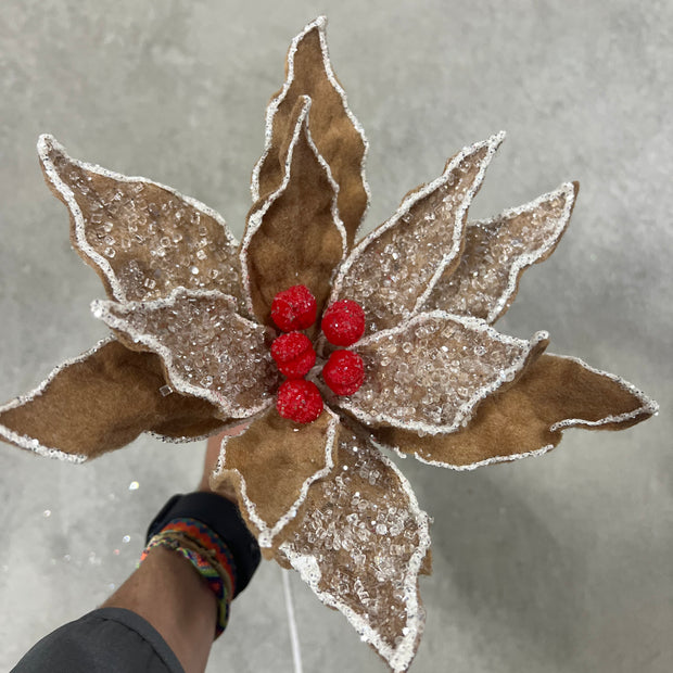 10.5 ” gingerbread poinsettia pick  - XS4210