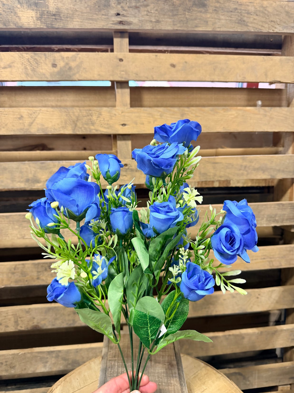 Blue rose bud bush - 37368