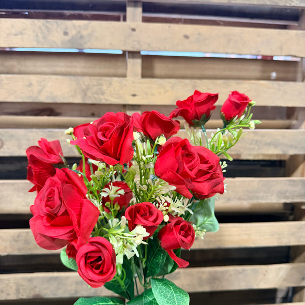 Red rose bud bush - 37363