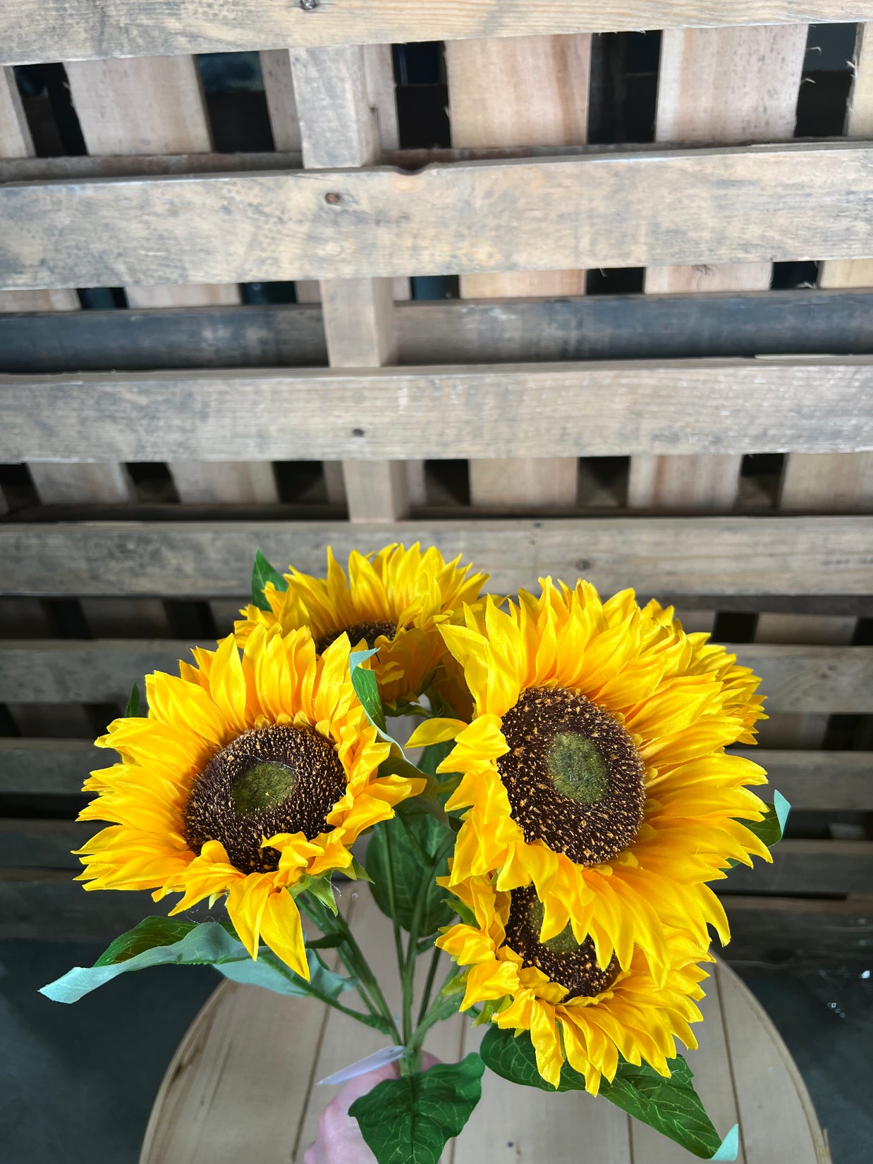 17" yellow sunflower bush - FN175229