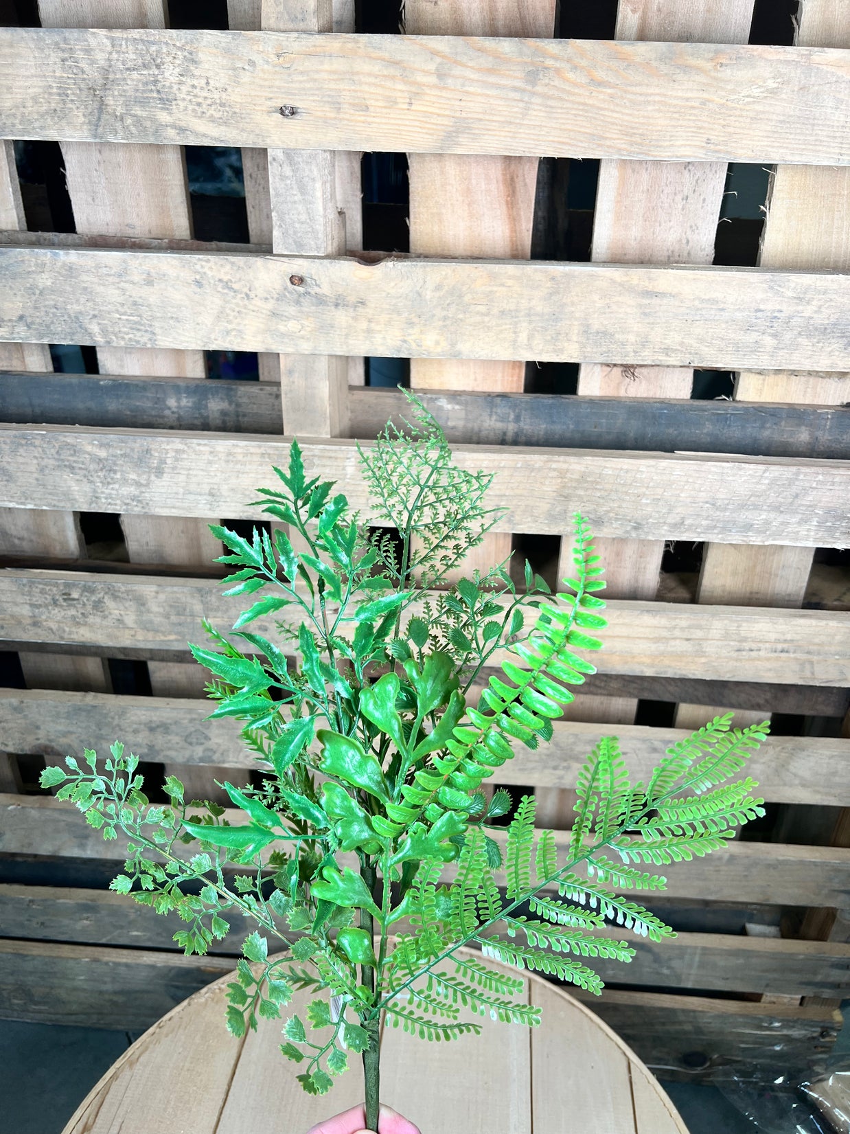 22" mixed fern foliage stem  - FG674091
