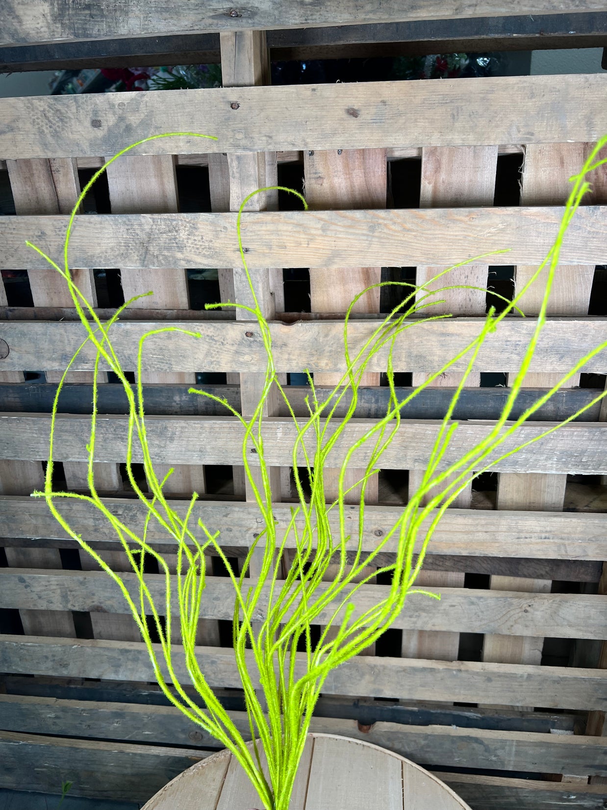 30" flocked twig stem  - MN008931