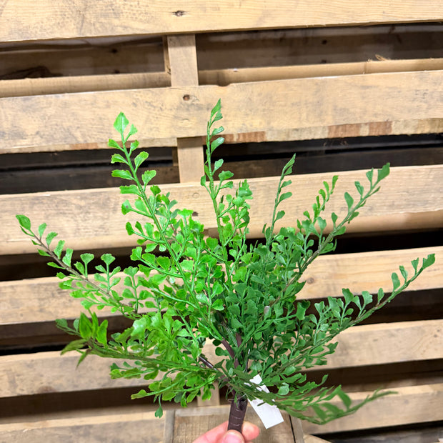 13” maiden hair fern bush - FG6391