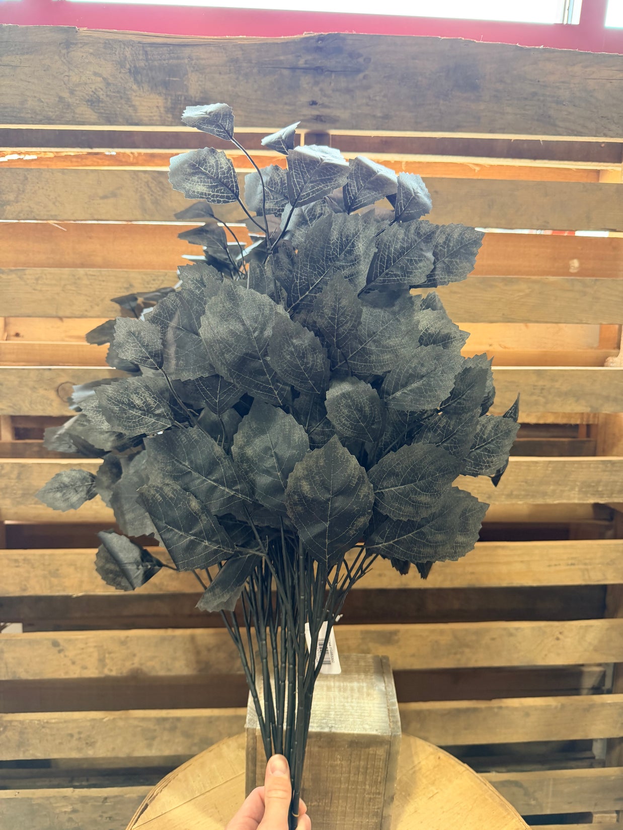 1 dozen pack - black rose leaf spray  - FG663302
