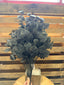1 dozen pack - black rose leaf spray  - FG663302