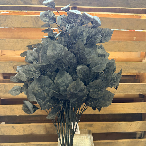 1 dozen pack - black rose leaf spray  - FG663302