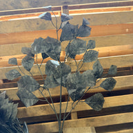 1 dozen pack - black rose leaf spray  - FG663302
