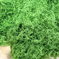 500G  Green fabric moss bag - MD175630