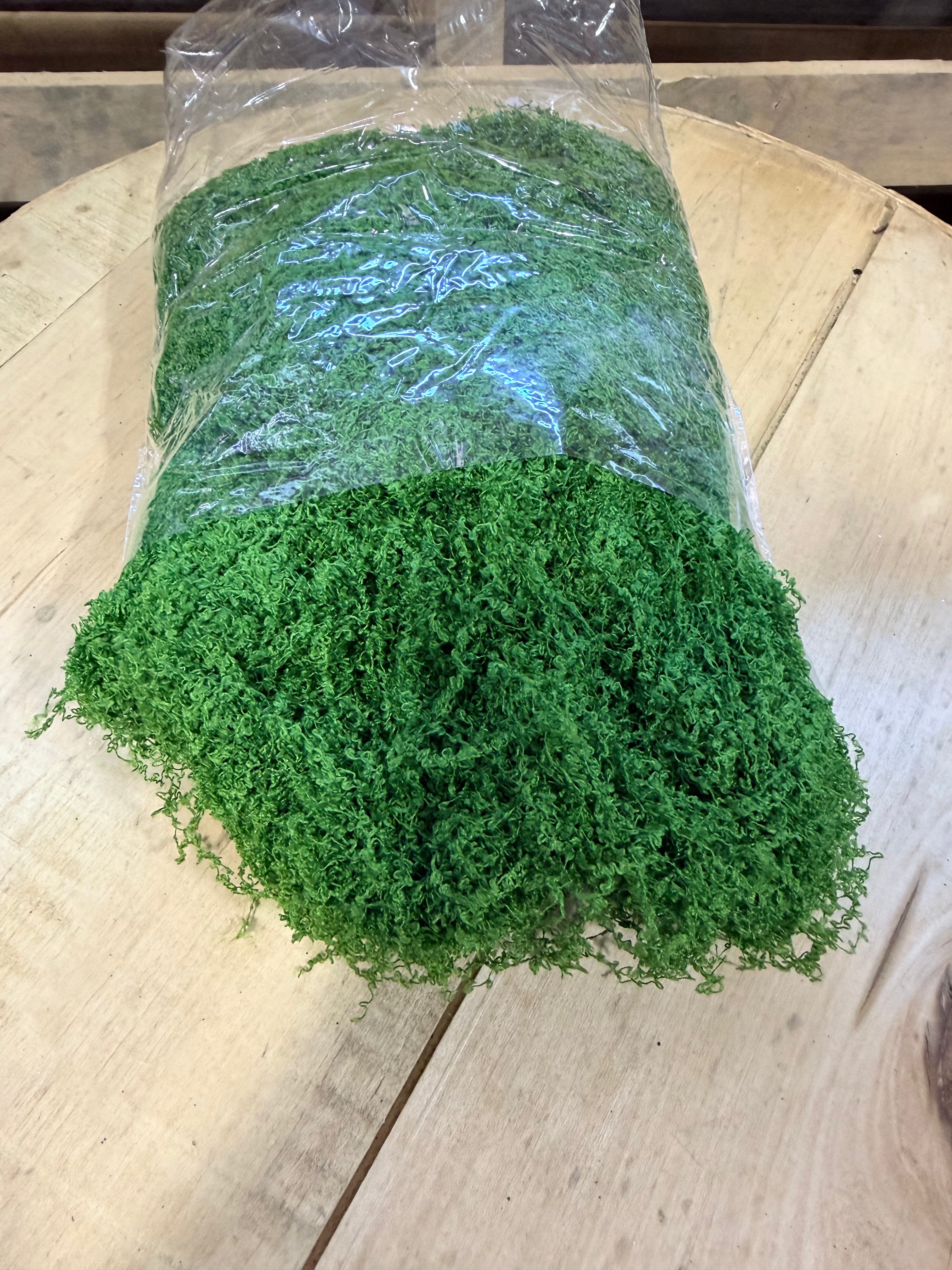 100G Dark Green fabric moss bag - MD175531