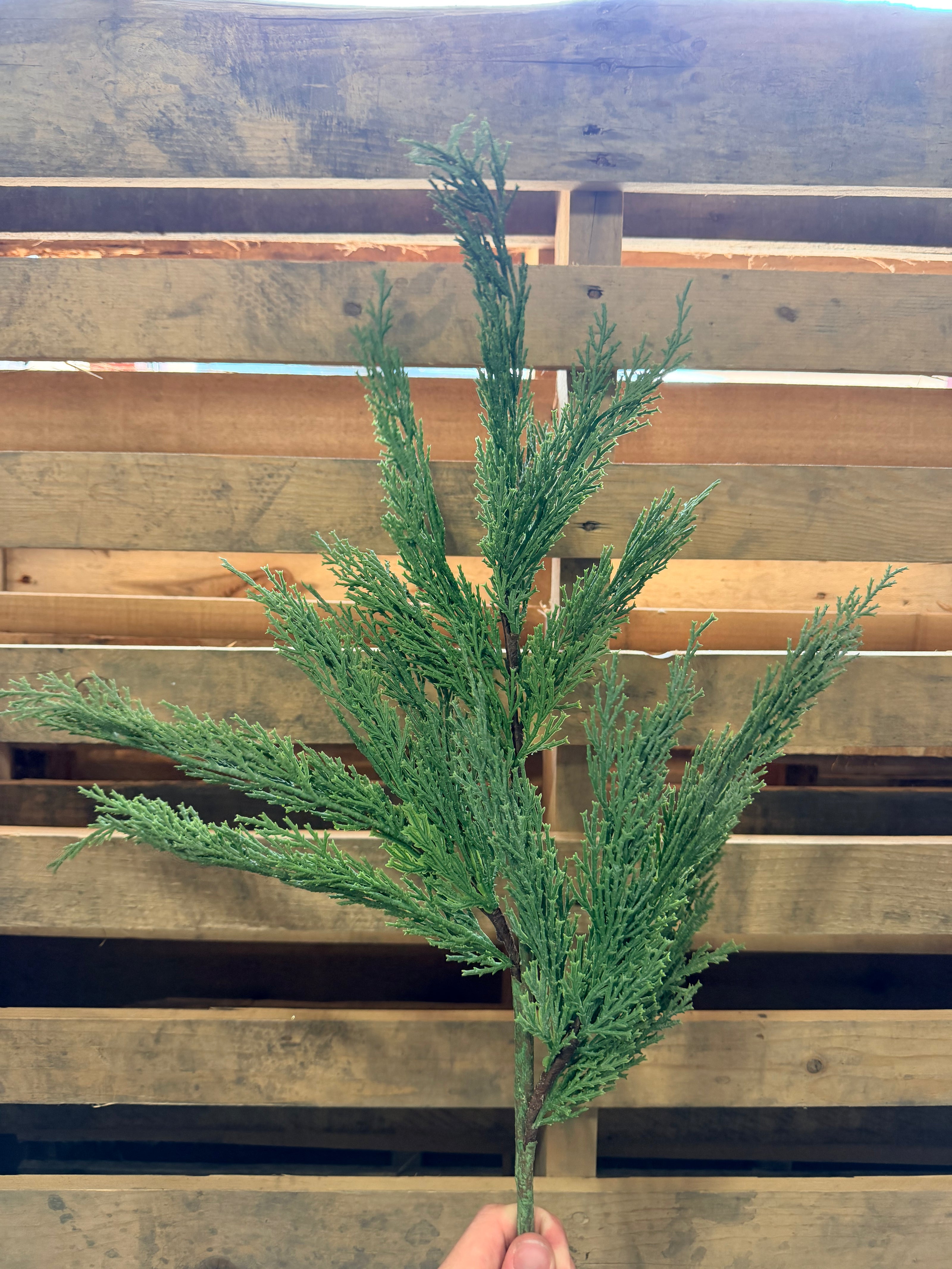 33”  Cedar spray - EH214033