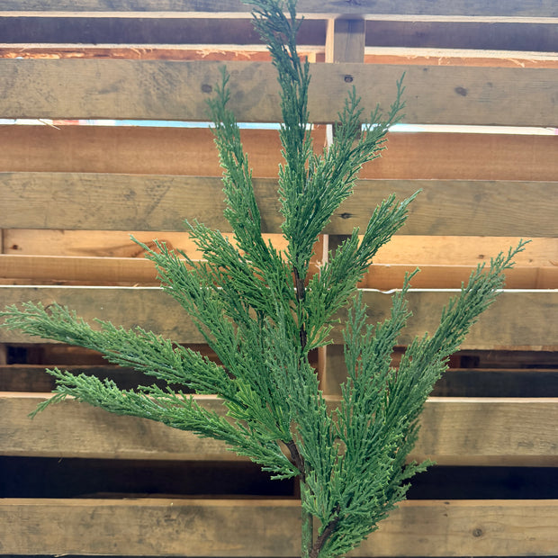 33”  Cedar spray - EH214033
