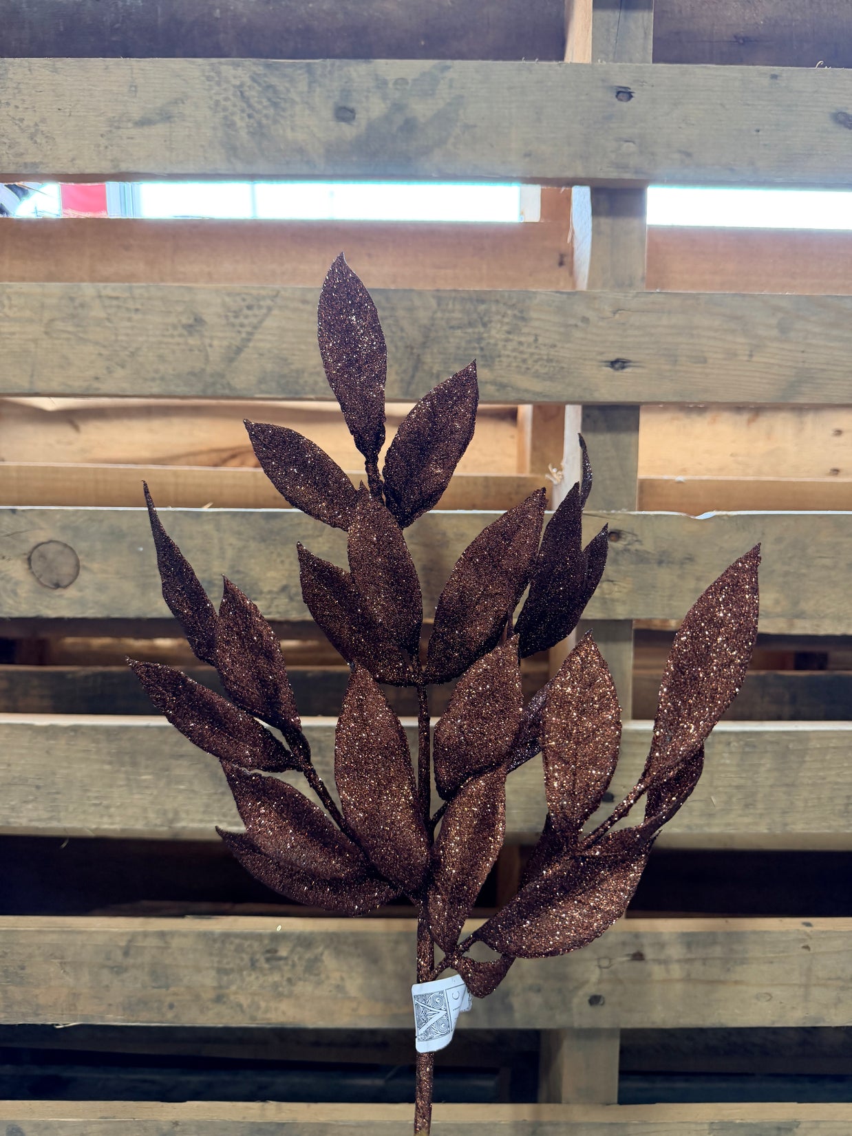 22" Chocolate Glitter BayLeaf Spray - L152915