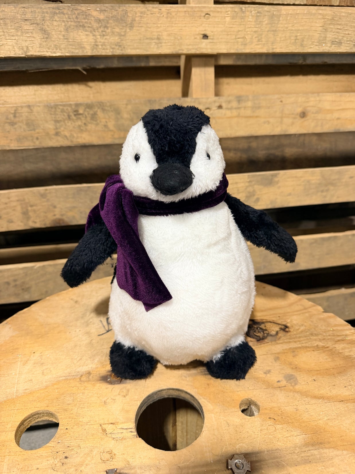 10"H STYRO PENGUIN W/OPEN ARMS - XN8204