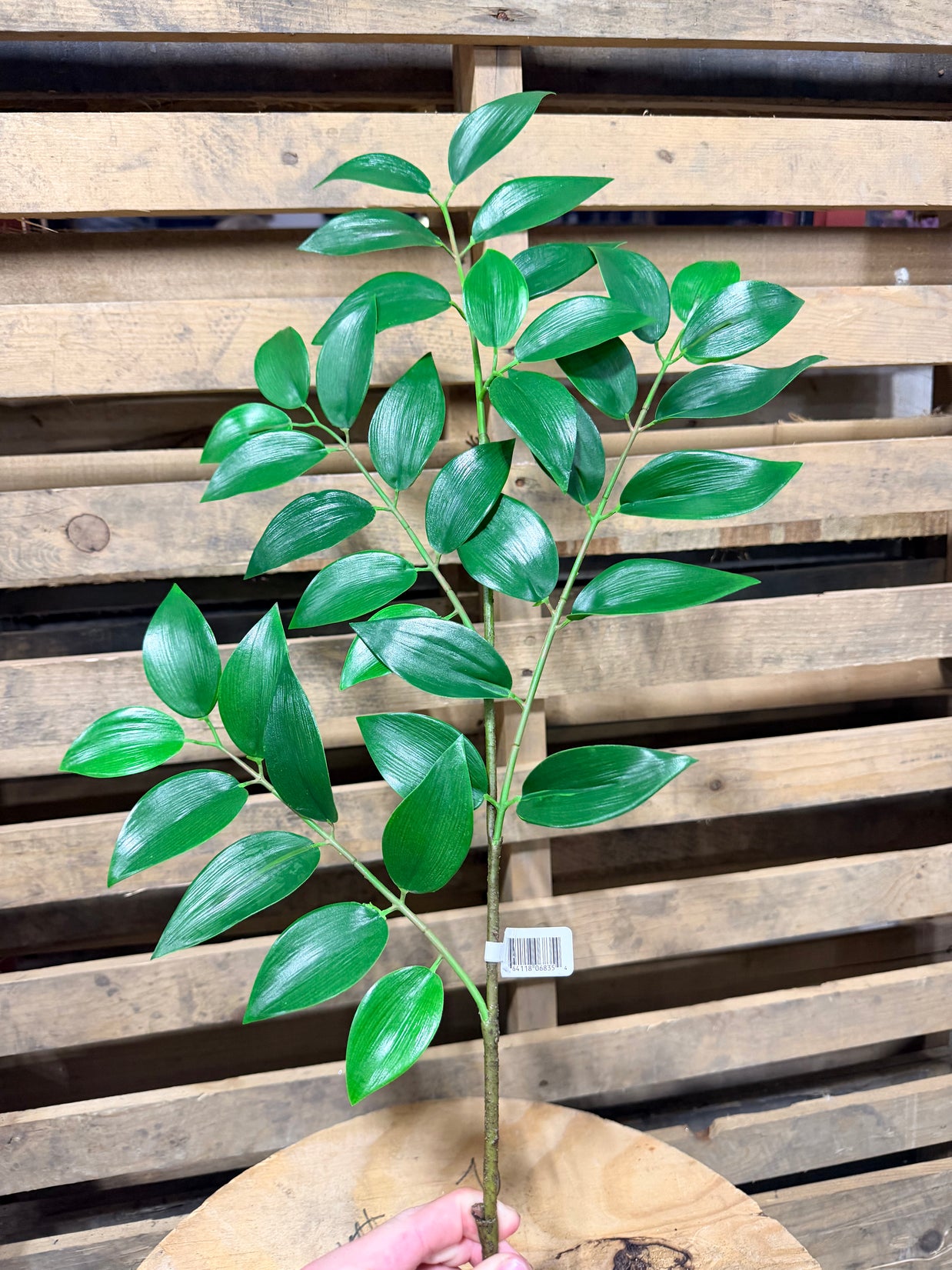 36" Real Touch Ruscus Spray - 6177W9901
