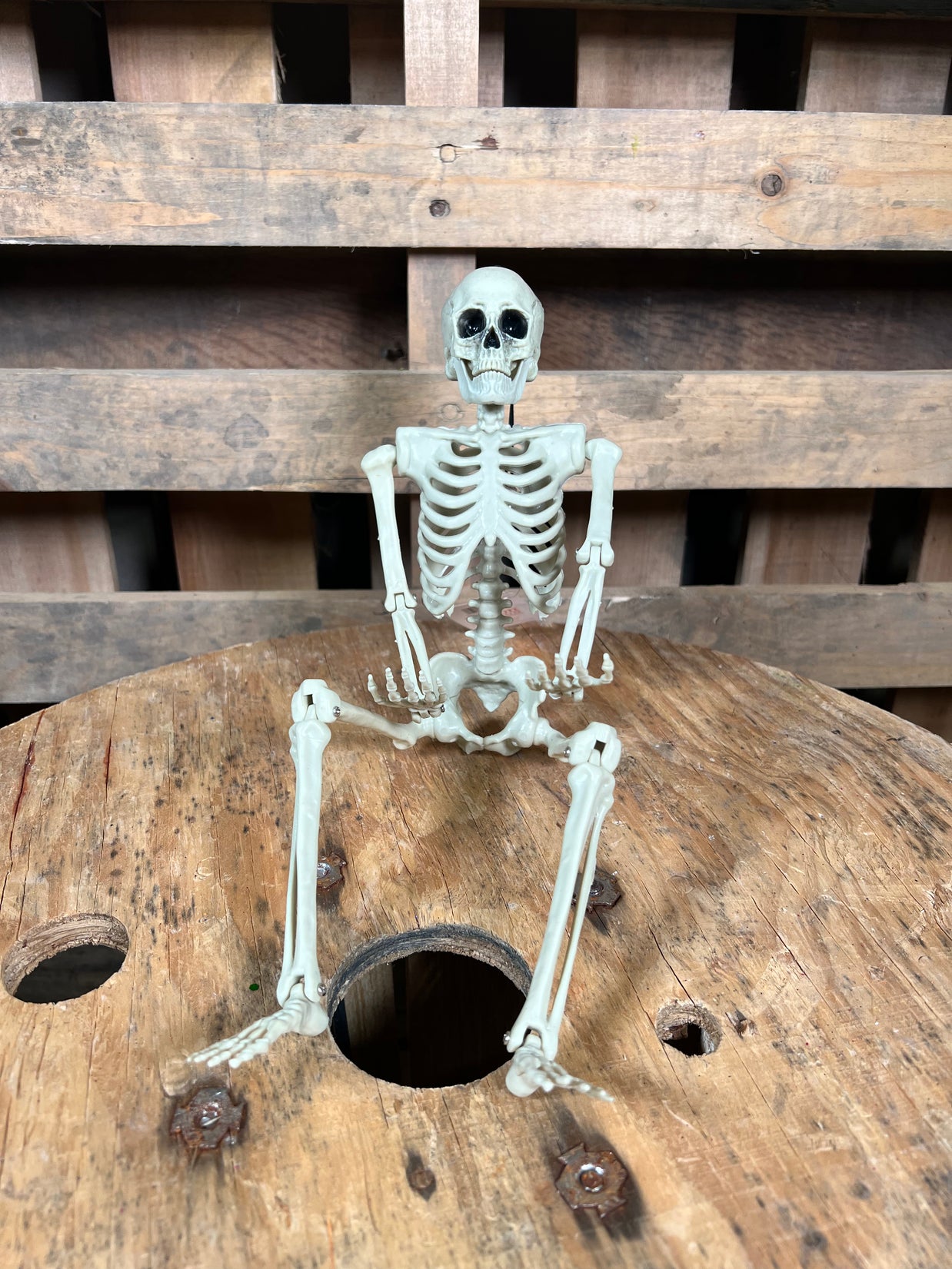 14in posable skeleton - 9750617