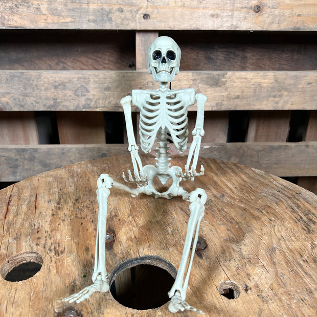 14in posable skeleton - 9750617