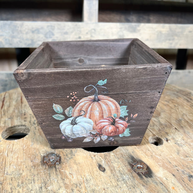 5.5in pumpkin wood box container - 313794