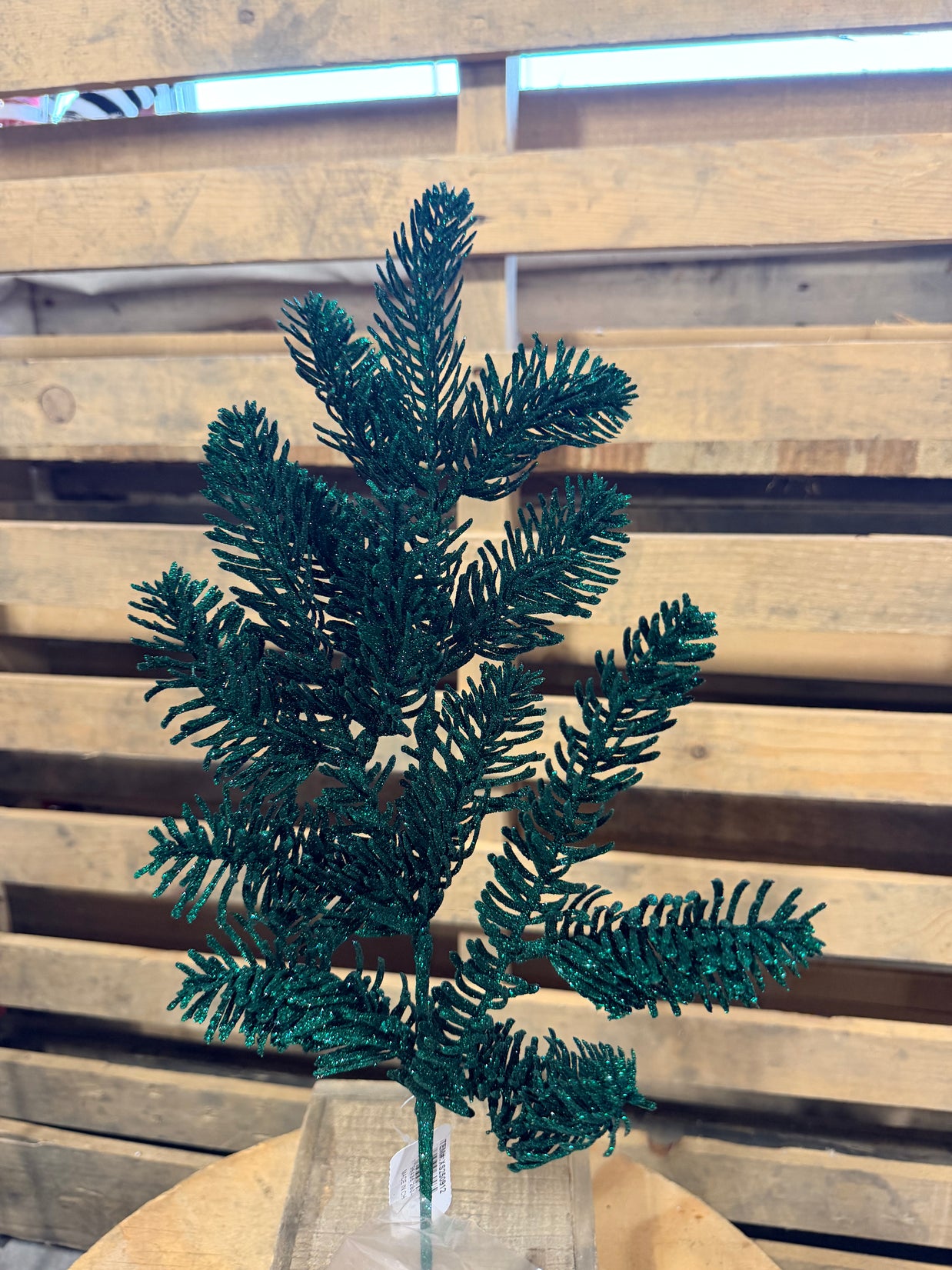 20.75"L Hunter Green  noble fern spray  - XS250912