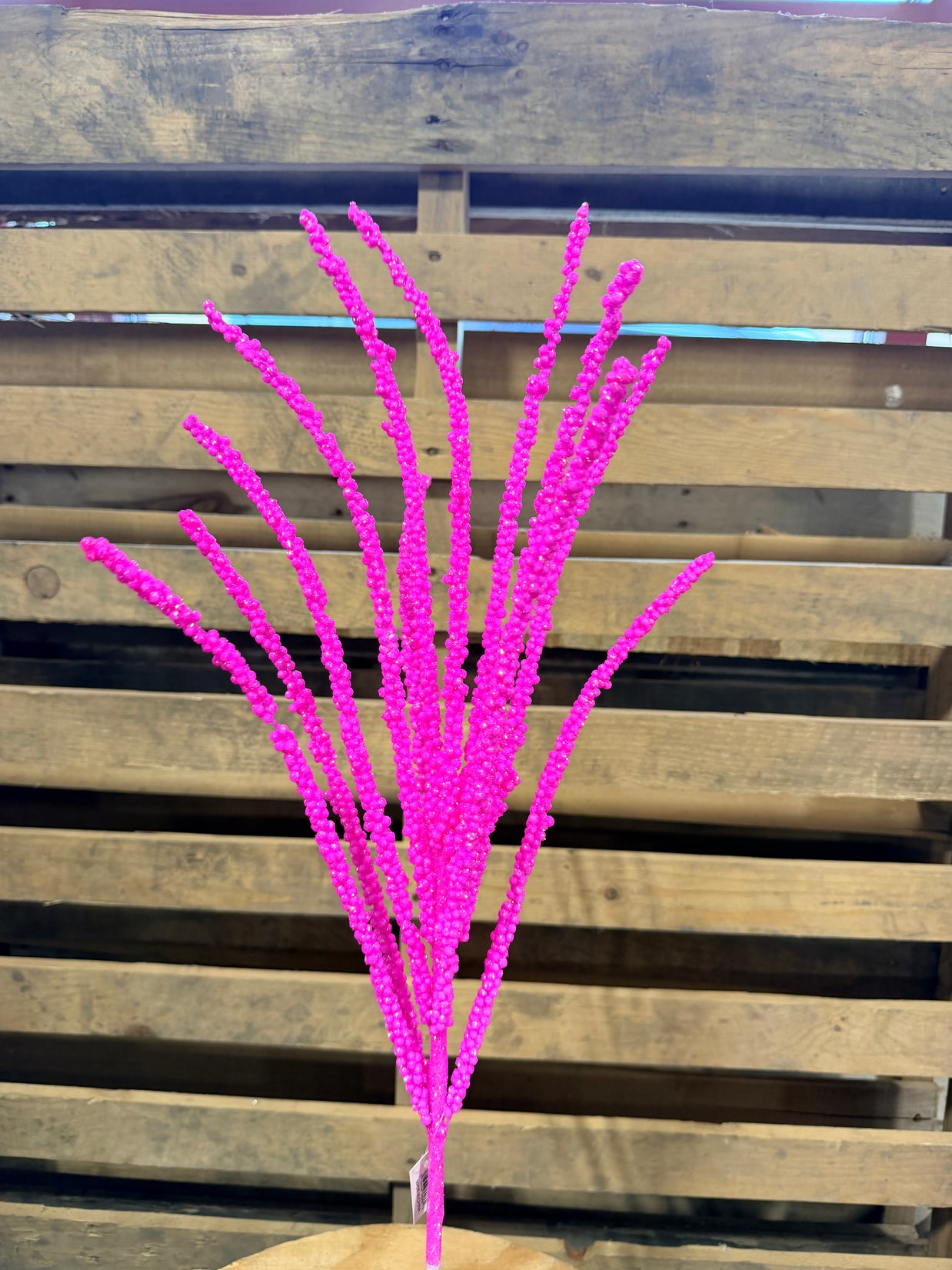 27 Inch Hot Pink spray  - MN053122