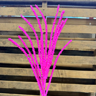27 Inch Hot Pink spray  - MN053122