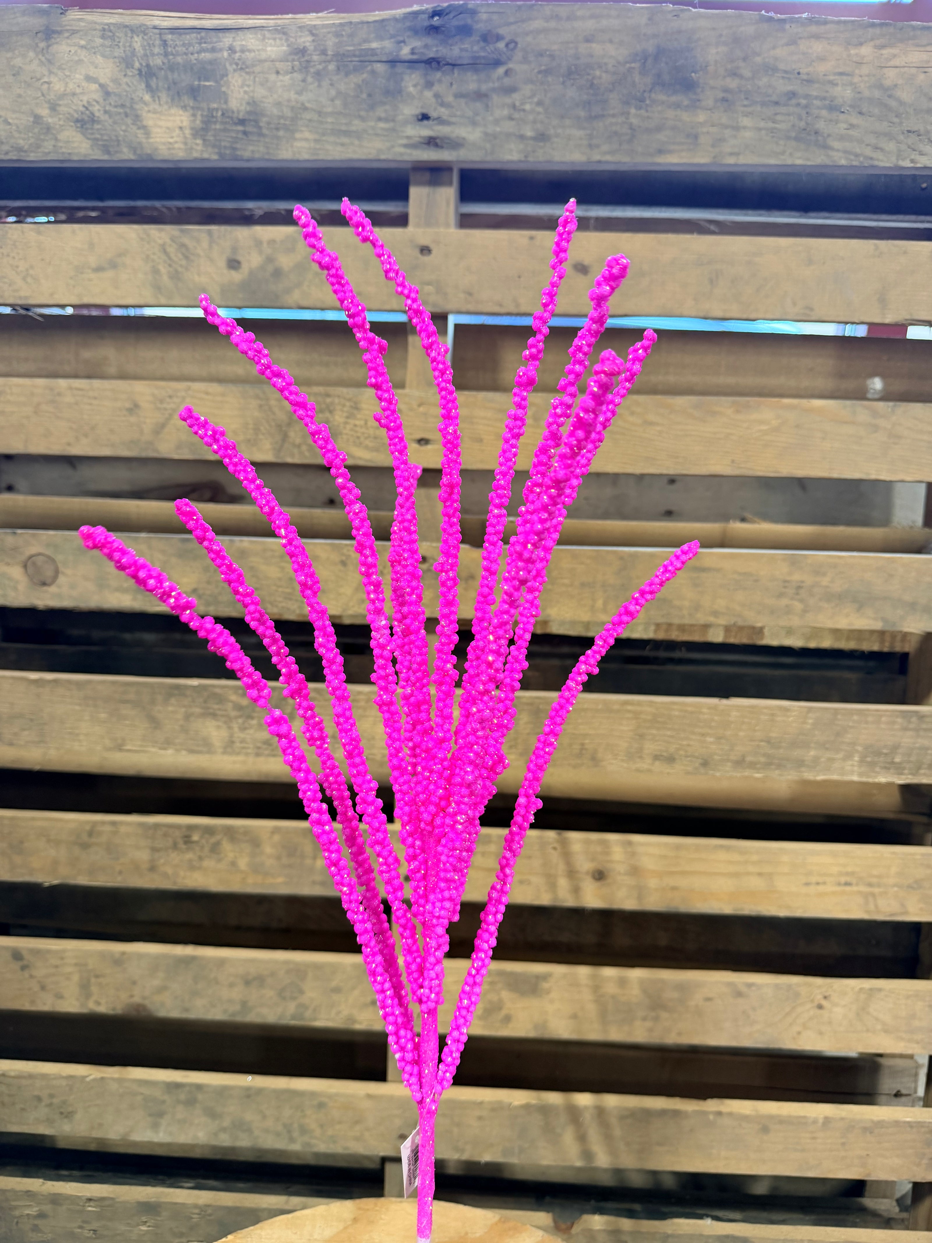 27 Inch Hot Pink spray  - MN053122