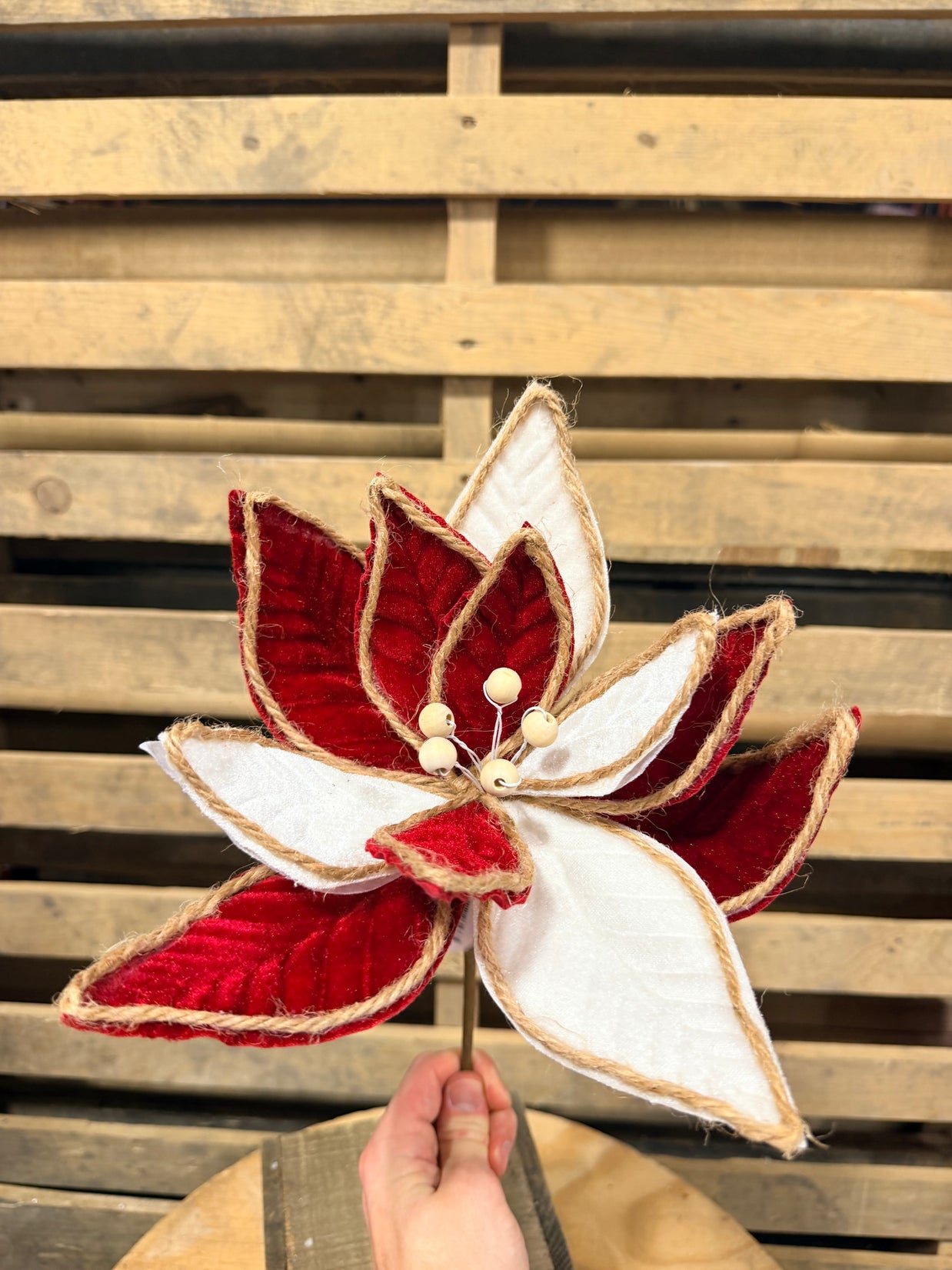 10"D rustic Poinsettia stem - 26137