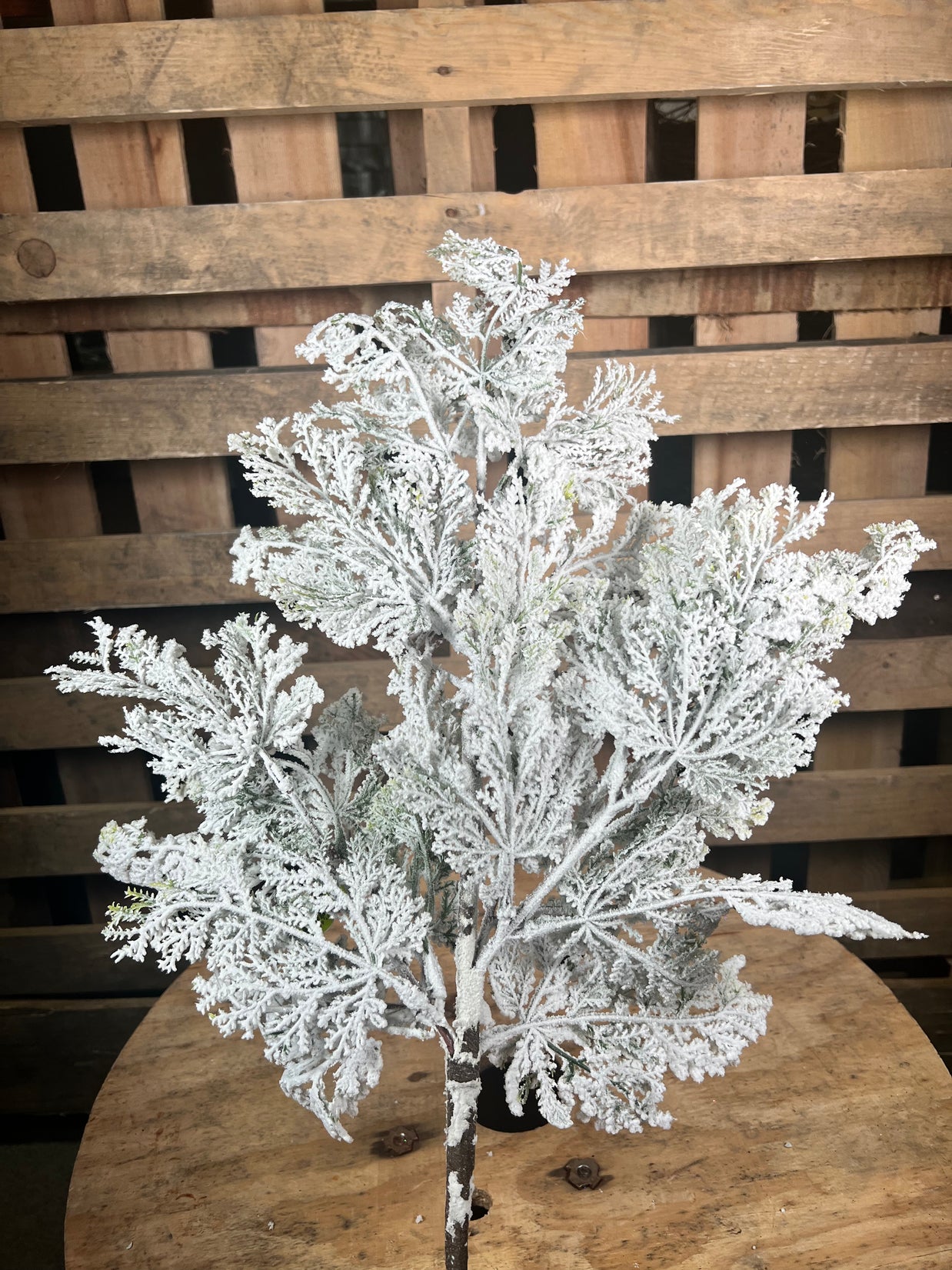 28”H Flocked Cedar spray  - 86016SNOW