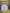 8”W Pink lollipop  - 85245PKWT