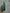 5/8” x 10Y emerald green tinsel open weave Wired Ribbon - RN592006